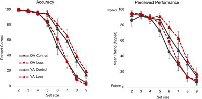 Losing Money and Motivation: Effects of Loss Incentives on Motivation and Metacognition in Younger and Older Adults